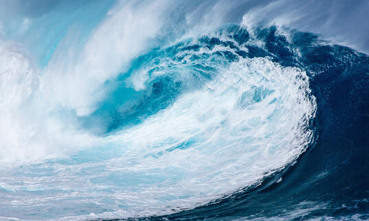 Ein Pionierprojekt in Regensdorf