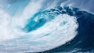 Ein Pionierprojekt in Regensdorf